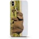 Elephant iPhone X case Style 15