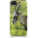 Goat iPhone case Style 7