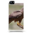Hawk iPhone case Style 24
