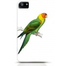 Parrot iPhone case Style 11