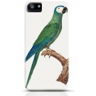 Parrot iPhone case Style 12