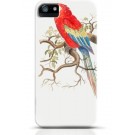 Parrot iPhone case Style 13