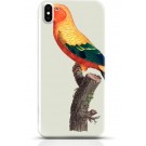 Parrot iPhone XS Max case Style 14
