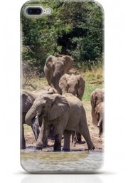 Elephant iPhone 8 case Style 16