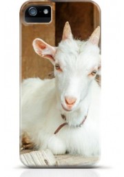 Goat iPhone case Style 14
