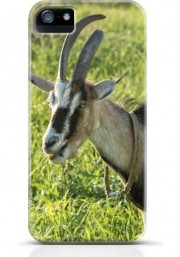 Goat iPhone case Style 7