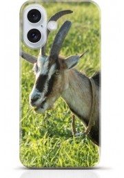 Goat iPhone 16 Plus case Style 7