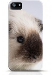 Hamster iPhone case Style 11
