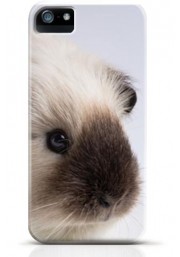 Hamster iPhone case Style 15
