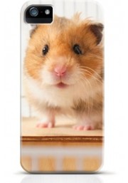 Hamster iPhone case Style 19