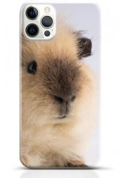 Hamster iPhone 12 Pro max case Style 13
