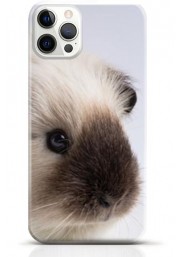 Hamster iPhone 12 Pro max case Style 15