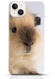 Hamster iPhone 13 mini case Style 13