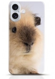 Hamster iPhone 16 case Style 13