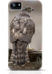 Hawk iPhone case Style 10