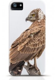 Hawk iPhone case Style 12
