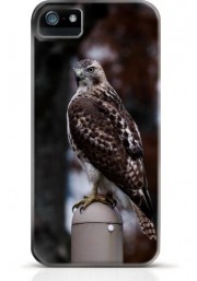 Hawk iPhone case Style 14