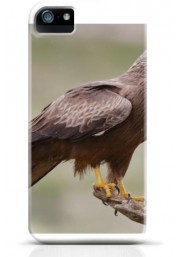 Hawk iPhone case Style 24