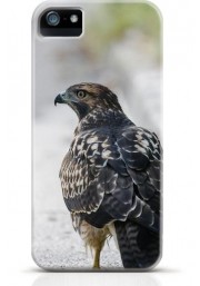Hawk iPhone case Style 9