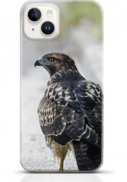 Hawk iPhone 13 case Style 9