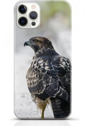 Hawk iPhone 15 Pro Max case Style 9