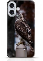 Hawk iPhone 16 case Style 14