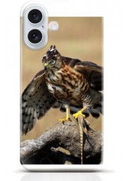 Hawk iPhone 16 Plus case Style 13