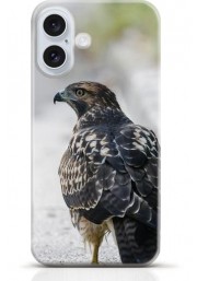 Hawk iPhone 16 Plus case Style 9