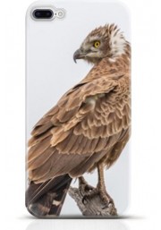 Hawk iPhone 8 case Style 12