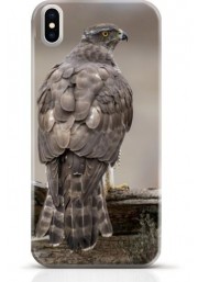 Hawk iPhone XS Max case Style 10