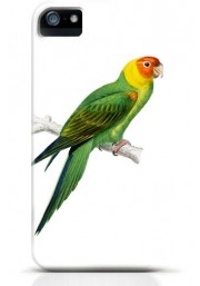 Parrot iPhone case Style 11