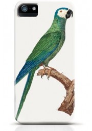 Parrot iPhone case Style 12