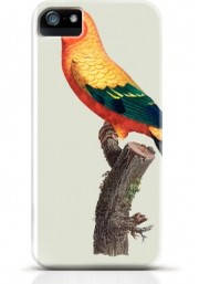 Parrot iPhone case Style 14