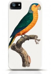 Parrot iPhone case Style 18