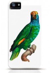 Parrot iPhone case Style 5