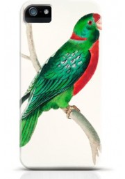 Parrot iPhone case Style 6
