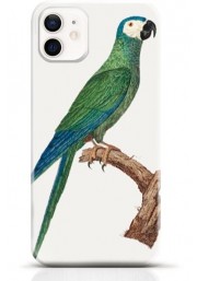 Parrot iPhone 12 case Style 12