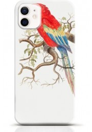 Parrot iPhone 12 case Style 13