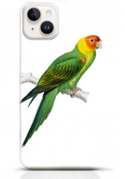 Parrot iPhone 13 mini case Style 11