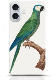 Parrot iPhone 16 case Style 12