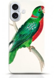 Parrot iPhone 16 case Style 6