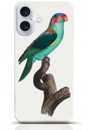 Parrot iPhone 16 Plus case Style 10