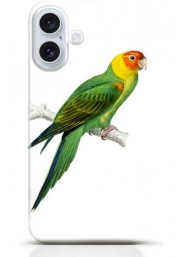 Parrot iPhone 16 Plus case Style 11