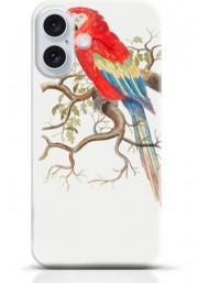 Parrot iPhone 16 Plus case Style 13