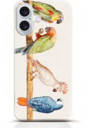 Parrot iPhone 16 Plus case Style 17