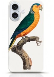 Parrot iPhone 16 Plus case Style 18
