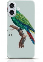 Parrot iPhone 16 Plus case Style 8