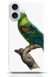 Parrot iPhone 16 Plus case Style 9