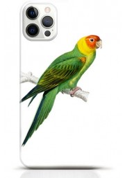 Parrot iPhone 16 Pro Max case Style 11