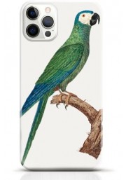 Parrot iPhone 16 Pro Max case Style 12